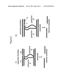 NUCLEIC ACID ENZYMES AND COMPLEXES AND METHODS FOR THEIR USE diagram and image