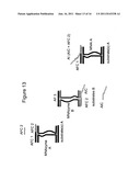 NUCLEIC ACID ENZYMES AND COMPLEXES AND METHODS FOR THEIR USE diagram and image