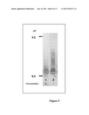 PROCOLLAGEN C-PROTEINASE ENHANCER (PCPE) BIOMARKER FOR BONE FORMATION diagram and image