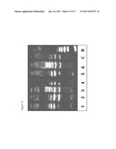 PROCOLLAGEN C-PROTEINASE ENHANCER (PCPE) BIOMARKER FOR BONE FORMATION diagram and image