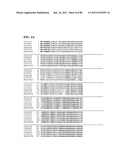 Thermophilic and thermoacidophilic biopolymer-degrading genes and enzymes     from alicyclobacillus acidocaldarius and related organisms, methods diagram and image