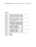 Thermophilic and thermoacidophilic biopolymer-degrading genes and enzymes     from alicyclobacillus acidocaldarius and related organisms, methods diagram and image