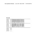 Thermophilic and thermoacidophilic biopolymer-degrading genes and enzymes     from alicyclobacillus acidocaldarius and related organisms, methods diagram and image