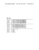 Thermophilic and thermoacidophilic biopolymer-degrading genes and enzymes     from alicyclobacillus acidocaldarius and related organisms, methods diagram and image