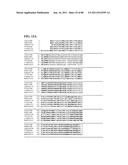 Thermophilic and thermoacidophilic biopolymer-degrading genes and enzymes     from alicyclobacillus acidocaldarius and related organisms, methods diagram and image