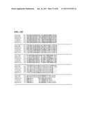 Thermophilic and thermoacidophilic biopolymer-degrading genes and enzymes     from alicyclobacillus acidocaldarius and related organisms, methods diagram and image