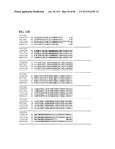 Thermophilic and thermoacidophilic biopolymer-degrading genes and enzymes     from alicyclobacillus acidocaldarius and related organisms, methods diagram and image