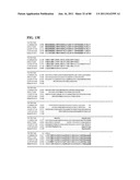 Thermophilic and thermoacidophilic biopolymer-degrading genes and enzymes     from alicyclobacillus acidocaldarius and related organisms, methods diagram and image