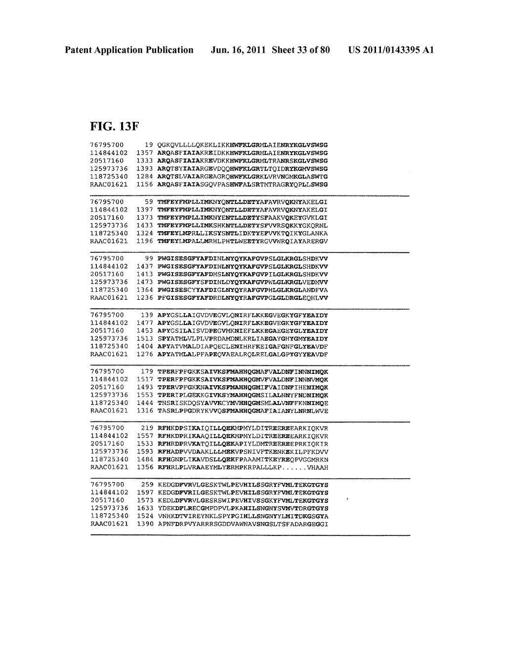 Thermophilic and thermoacidophilic biopolymer-degrading genes and enzymes     from alicyclobacillus acidocaldarius and related organisms, methods - diagram, schematic, and image 34