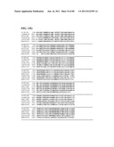 Thermophilic and thermoacidophilic biopolymer-degrading genes and enzymes     from alicyclobacillus acidocaldarius and related organisms, methods diagram and image