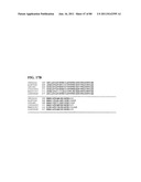 Thermophilic and thermoacidophilic biopolymer-degrading genes and enzymes     from alicyclobacillus acidocaldarius and related organisms, methods diagram and image