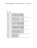 Thermophilic and thermoacidophilic biopolymer-degrading genes and enzymes     from alicyclobacillus acidocaldarius and related organisms, methods diagram and image