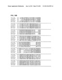 Thermophilic and thermoacidophilic biopolymer-degrading genes and enzymes     from alicyclobacillus acidocaldarius and related organisms, methods diagram and image