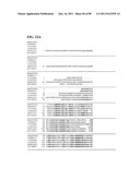 Thermophilic and thermoacidophilic biopolymer-degrading genes and enzymes     from alicyclobacillus acidocaldarius and related organisms, methods diagram and image