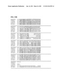 Thermophilic and thermoacidophilic biopolymer-degrading genes and enzymes     from alicyclobacillus acidocaldarius and related organisms, methods diagram and image