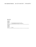 Thermophilic and thermoacidophilic biopolymer-degrading genes and enzymes     from alicyclobacillus acidocaldarius and related organisms, methods diagram and image