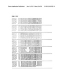 Thermophilic and thermoacidophilic biopolymer-degrading genes and enzymes     from alicyclobacillus acidocaldarius and related organisms, methods diagram and image