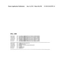 Thermophilic and thermoacidophilic biopolymer-degrading genes and enzymes     from alicyclobacillus acidocaldarius and related organisms, methods diagram and image