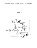 METHOD FOR PRODUCING ETHANOL FROM XYLOSE USING RECOMBINANT SACCHAROMYCES     CEREVISIAE INVOLVING COUPLED USE OF NADH AND NAD+ diagram and image