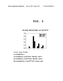 METHOD FOR PRODUCING ETHANOL FROM XYLOSE USING RECOMBINANT SACCHAROMYCES     CEREVISIAE INVOLVING COUPLED USE OF NADH AND NAD+ diagram and image