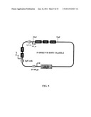 Stably Tethered Structures of Defined Compositions with Multiple Functions     or Binding Specificities diagram and image