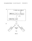 Stably Tethered Structures of Defined Compositions with Multiple Functions     or Binding Specificities diagram and image