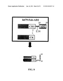 Stably Tethered Structures of Defined Compositions with Multiple Functions     or Binding Specificities diagram and image