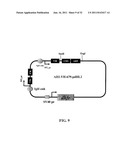 Stably Tethered Structures of Defined Compositions with Multiple Functions     or Binding Specificities diagram and image