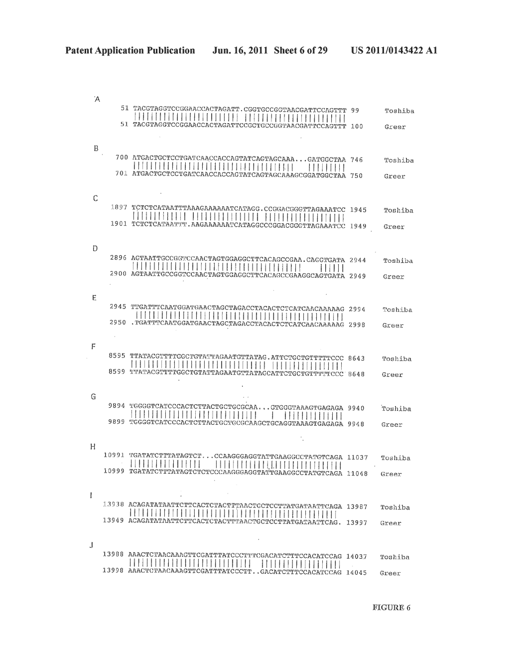 RECOVERY OF RECOMBINANT HUMAN PARAINFLUENZA VIRUS TYPE 2 (HYPIV2) FROM     CDNA AND USE OF RECOMBINANT HPIV2 IN IMMUNOGENIC COMPOSITIONS AND AS     VECTORS TO ELICIT IMMUNE RESPONSES AGAINST PIV AND OTHER HUMAN PATHOGENS - diagram, schematic, and image 07