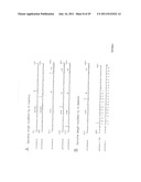 RECOVERY OF RECOMBINANT HUMAN PARAINFLUENZA VIRUS TYPE 2 (HYPIV2) FROM     CDNA AND USE OF RECOMBINANT HPIV2 IN IMMUNOGENIC COMPOSITIONS AND AS     VECTORS TO ELICIT IMMUNE RESPONSES AGAINST PIV AND OTHER HUMAN PATHOGENS diagram and image