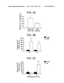 Brown Adipocyte Progenitors in Human Skeletal Muscle diagram and image