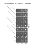 TREATING VARIOUS DISORDERS USING TRKB AGONISTS diagram and image