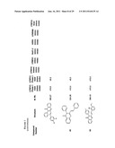 Compounds for Modulating TRPV3 Function diagram and image