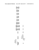 Compounds for Modulating TRPV3 Function diagram and image