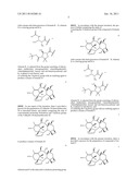 PREPARATION OF TAXANES FROM 9-DIHYDRO-13-ACETYLBACCATION III diagram and image