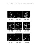 LOW LEVEL LIGHT THERAPY FOR ENHANCEMENT OF NEUROLOGIC FUNCTION BY ALTERING     AXONAL TRANSPORT RATE diagram and image