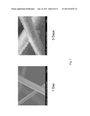 DYNAMIC BIOACTIVE BONE GRAFT MATERIAL HAVING AN ENGINEERED POROSITY diagram and image