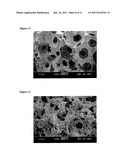 Process For Producing Porous Scaffolds From Sinterable Glass diagram and image