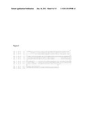 Transgenic Plants Comprising as Transgene a Phosphatidate     Cytidylyltransferase diagram and image