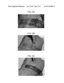 Direct Remote Analog/Digital Printing Devices, Processes and Mediums diagram and image