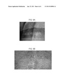 Direct Remote Analog/Digital Printing Devices, Processes and Mediums diagram and image