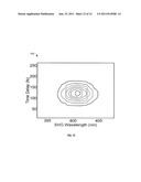 ROTARYFROG SYSTEMS AND METHODS diagram and image