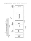 Polarization preserving projection screen with engineered particle and     method for making same diagram and image