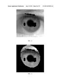 SYSTEM AND METHOD FOR NON-COOPERATIVE IRIS IMAGE ACQUISITION diagram and image