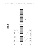 ENCAPSULATION SCHEME FOR OPTICAL OVER ETHERNET diagram and image