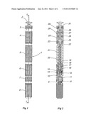 PROGRESSIVE CAVITY PUMP WITH INNER AND OUTER ROTORS diagram and image