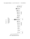 AGENT FOR THE TREATMENT AND/OR PROPHYLAXIS OF AN AUTOIMMUNE DISEASE AND     FOR THE FORMATION OF REGULATORY T CELLS diagram and image