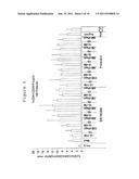 AGENT FOR THE TREATMENT AND/OR PROPHYLAXIS OF AN AUTOIMMUNE DISEASE AND     FOR THE FORMATION OF REGULATORY T CELLS diagram and image