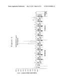 AGENT FOR THE TREATMENT AND/OR PROPHYLAXIS OF AN AUTOIMMUNE DISEASE AND     FOR THE FORMATION OF REGULATORY T CELLS diagram and image