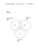 TREATMENT OF AN AUTOIMMUNE DISEASE USING IL-18 ANTAGONISTS diagram and image